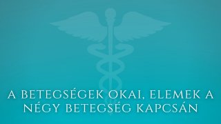 6. A betegségek okai, elemek a négy betegség kapcsán