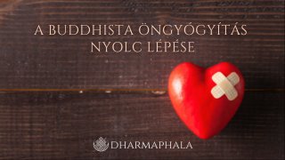 A buddhista öngyógyítás nyolc lépése