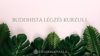 Buddhista légzés kurzus I.