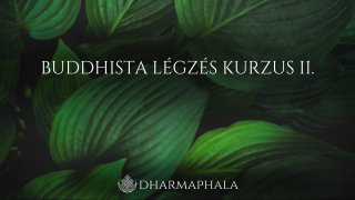 Buddhista légzés kurzus II.